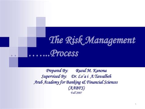 Risk Management Process PDF 的图像结果