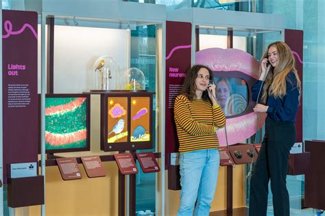 Image result for Hello Brain