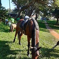 THE MUSGRAVE MARKET (2026) All You Need to Know BEFORE You Go (with ...