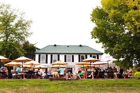 Defiance Ridge Vineyards