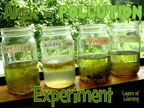 Image result for Environmental Science Experiments