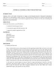 Toad Dissection Tutorial 的图像结果