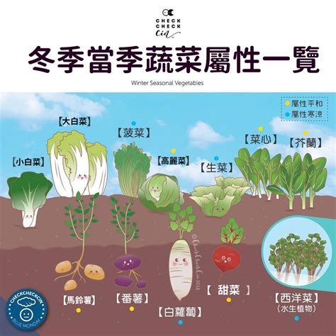 7種「大葉菜」，冬天正好吃，陽臺種一排，吃不完的「小菜園」 - VITO雜誌
