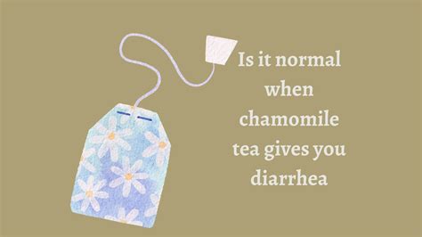 Does Chamomile Tea Make You Poop and Cause Diarrhea? [Full Guide]