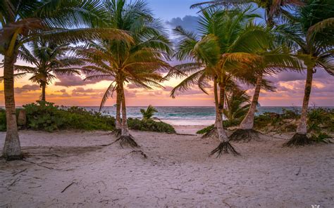 Download wallpaper 3840x2400 palm trees, sand, beach, sea, tropics 4k ...