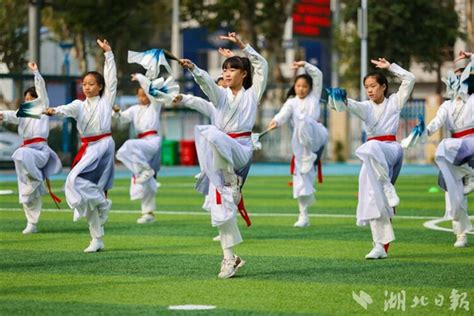襄阳樊城区“大体育·阳光运动”助力学生健康全面成长-国际在线