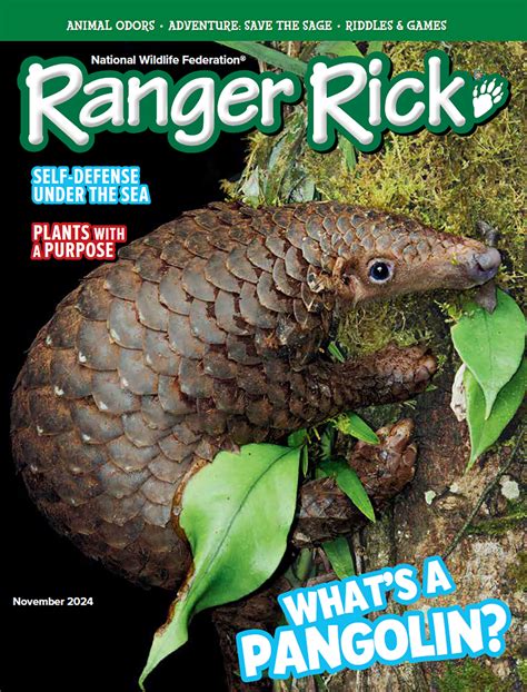 Ranger Rick Magazine Subscription | Magazine-Agent.com