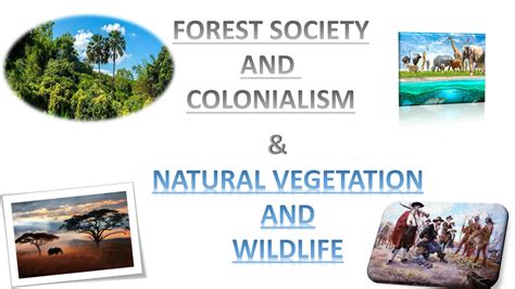 Class 9 Projects 的图像结果