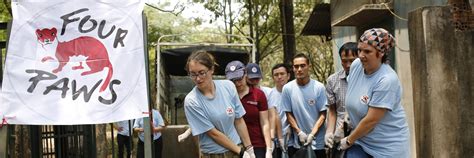 Biggest Bile Bear Rescue - FOUR PAWS International - Animal Welfare ...