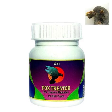 Pigeon POX Medicine (Cream) Avian Pox Medicine Pet Supplies Pet ...