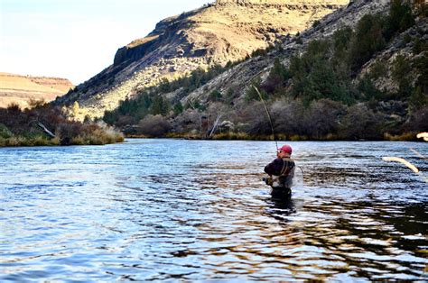 Night Fishing Regulations and Permits: State-by-State Guide - US ...
