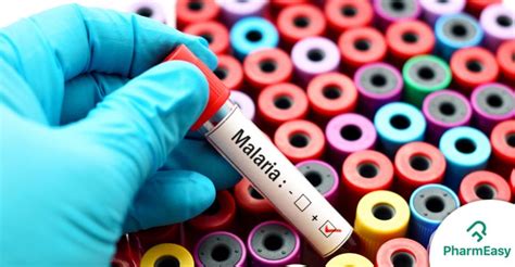 Malaria: Types, Symptoms, Causes, Prevention, and Treatment | PharmEasy