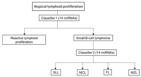 Modular Zone Lymphoma at John Mcginnis blog