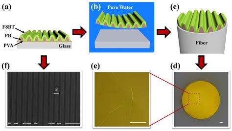 An Organic Microcavity Laser Amplifier Integrated on the End Facet of ...