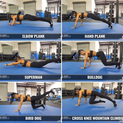Image result for Isometric Core Exercises