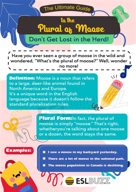 Plural of Moose: The Surprising Truth About This Special Plural Form - ESLBUZZ