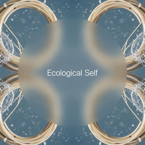 Ecological Meaning → Term