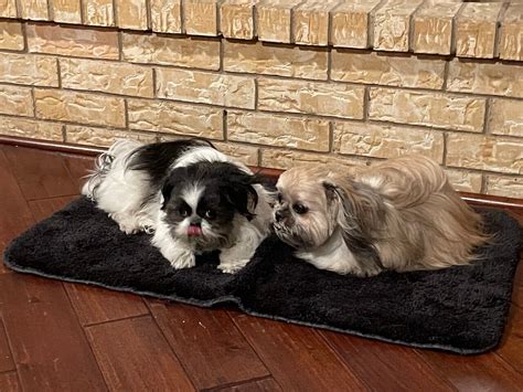 THE 10 BEST Places to Visit in Lake Worth (2026)