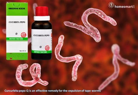 Homeopathy Medicines for Stomach Worms in Adults & Kids – Homeomart