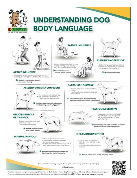 Body Language Chart