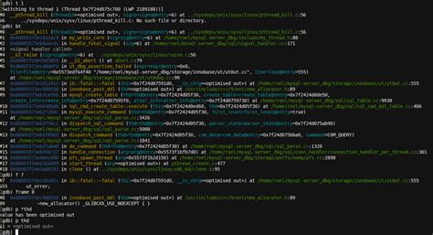 GDB Debug 的图像结果