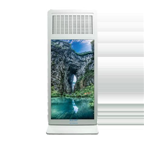 Installation of ClearStream 2Max 的图像结果