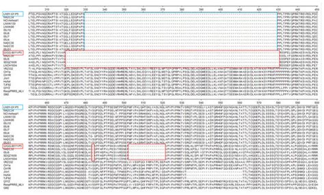 Pathogenicity Studies of NADC34-like Porcine Reproductive and ...