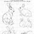 Image result for Drawing of Rabbit