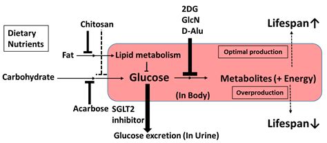 Calorie Restriction Mimetics: Upstream-Type Compounds for Modulating ...