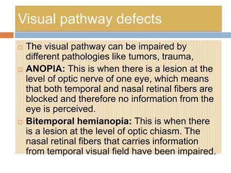 Image result for Visual Pathway Defects