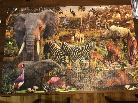 African animals, ravensburger, 3000 pieces : Jigsawpuzzles