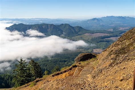 The Incredible Saddle Mountain Trail: A Complete Guide