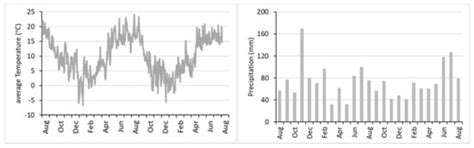 Evaluating Different Catch Crop Strategies for Closing the Nitrogen ...