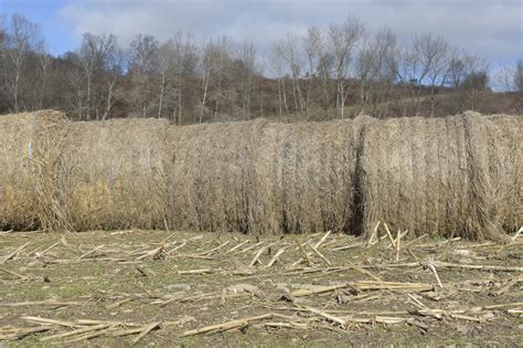 Set Picture Control Nikon 的图像结果