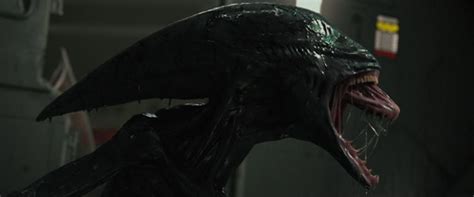 Image result for Alien Prometheus Snake