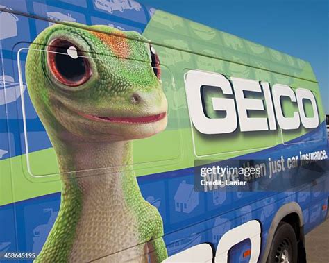 GEICO Insurance Lizard 的图像结果