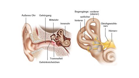 Positional vertigo: exercises, causes, symptoms