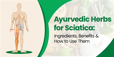 Top Ayurvedic Herbal Products Manufacturer in India (2026) – Brawn Herbal