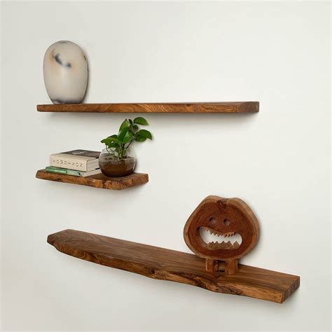 Organic Shelves - Set Of 3 — Home Canvas