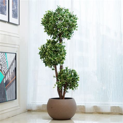 Life-like Artificial Plants for Home & Office Interiors – La Muse