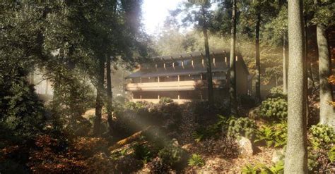 Image result for Forest Pack Pro