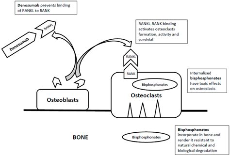 Current Controversies on the Pathogenesis of Medication-Related ...