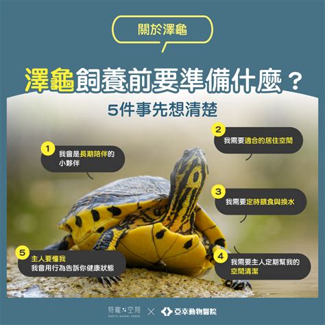 Image result for Name Match Algorithm