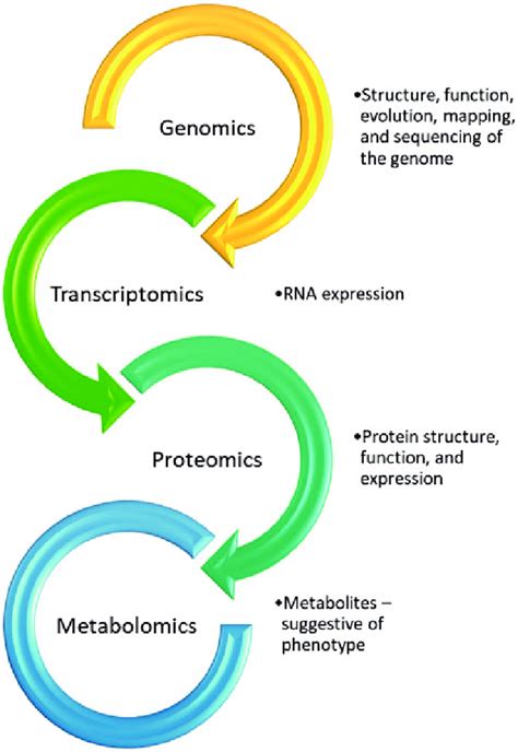 Omics Introduction 的图像结果