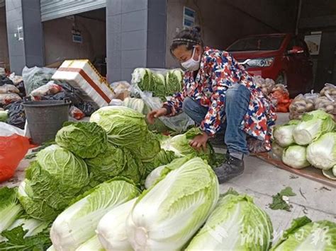 黄石：38个蔬菜“团长”火速上线--湖北省农业农村厅
