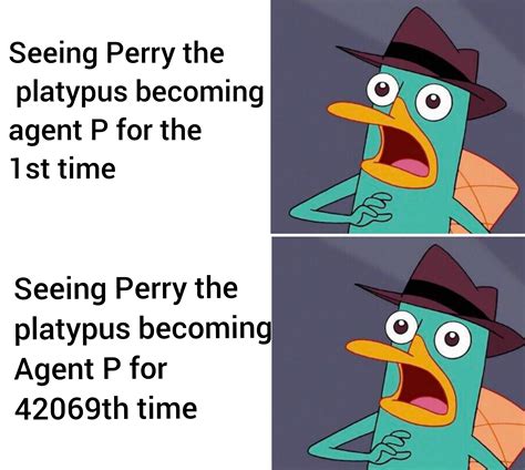 Perry The Platypus Memes