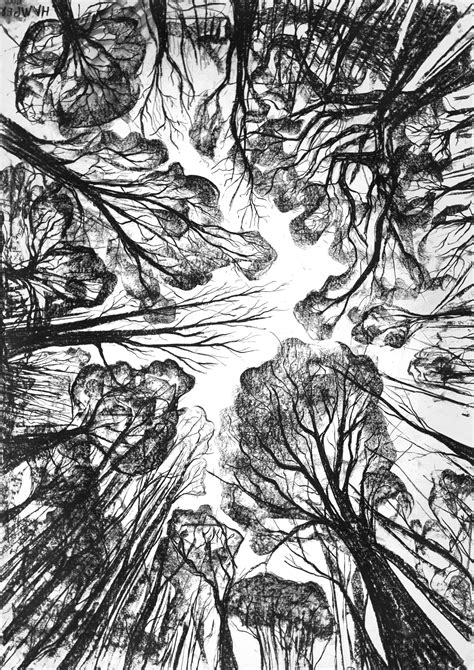 Image result for Sam Calcott Tutorials Hex Hamper