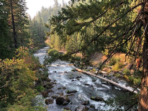 Prospect Oregon Map 的图像结果