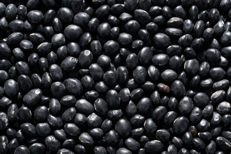 Goya Dry Black Beans And Rice Recipe | Besto Blog