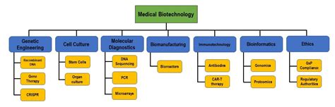 Biotechnology Flowchart 的图像结果